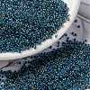 MIYUKI Round Rocailles Beads X-SEED-G009-RR0339-1