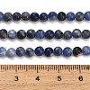 Natural South Africa Sodalite Beads Strands G-S259-35-4mm-5