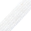 Natural Quartz Crystal Beads Strands G-P457-B01-26-1