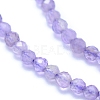 Natural Amethyst Beads Strands G-I279-E04-03-3
