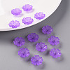 Transparent Frosted Acrylic Bead Caps MACR-S371-04A-747-6