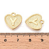 Alloy Pendants PALLOY-N157-001Y-NR-3