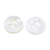Natural Freshwater Shell Charms SHEL-N027-10C-3