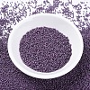 MIYUKI Delica Beads X-SEED-J020-DB0662-2