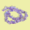1 Strand Electroplated Natural Quartz Beads Strands G-PA0001-18E-6