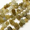 Natural Labradorite Beads Strands G-K202-11B-1