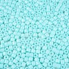 Opaque Baking Paint Glass Seed Beads SEED-T008-02N-3
