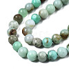 Natural Chrysoprase Beads Strands G-S333-6mm-016-3