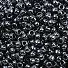 TOHO 6/0 Round Beads X-SEED-TR06-0081-3