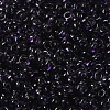Transparent Colours Glass Seed Beads SEED-P006-02A-12-3