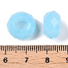 Glass European Beads GDA007-91-3