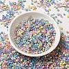 Opaque & Transparent Inside Colours Glass Seed Beads SEED-F004-02A-2