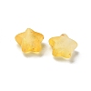 Frosted Acrylic Charms OACR-M023-04K-2