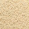 TOHO 11/0 Round Beads X-SEED-TR11-0123-2