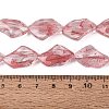 Handmade Lampwork Beads Strands LA-N046-02I-4