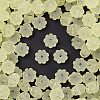 Frosted Transparent Acrylic Beads X1-OACR-P029-03B-03-1