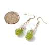 Yellow Green Grape Fruit Resin Dangle Earrings EJEW-JE05646-3