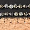 Natural Labradorite Beads Strands G-K389-B66-01-6