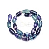 Natural Fluorite Beads Strands G-O170-96-2
