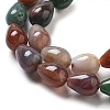 Natural Indian Agate Beads Strands G-B106-A21-01-4