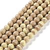 Natural Rainbow Alashan Agate Beads Strands G-NH0022-A-02-2