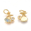 Brass Charms ZIRC-L070-79G-2