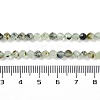 Natural Prehnite Beads Strands G-G139-A17-03-5