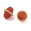 Natural Carnelian(Dyed & Heated) Beads GG-D002-17G-05-2
