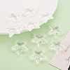 Transparent Acrylic Beads TACR-S154-58B-205-6