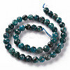 Natural Apatite Beads Strands G-S362-110E-2