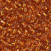 6/0 Glass Seed Beads SEED-A005-4mm-29-2