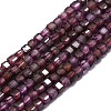 Natural Garnet Beads Strands G-P457-B01-22-1