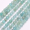 Natural Apatite Beads Strands G-I156-05-A-1