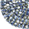 Natural Sodalite Beads Strands G-K389-E74-01A-3