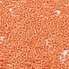 Baking Paint Glass Seed Beads SEED-S042-05B-83-3