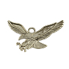 Tibetan Style Alloy Eagle/Hawk Charm Pendants X-TIBEP-S187-AS-NR-1
