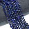 Dyed Natural Lapis Lazuli Beads Strands G-K389-B03-01-2