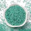 Glass Cylinder Beads SEED-L011-11B-14-2