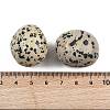 Natural Dalmatian Beads G-G348-01B-48-3