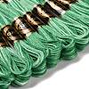 10 Skeins 6-Ply Polyester Embroidery Floss OCOR-K006-A25-2