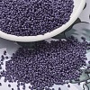 MIYUKI Delica Beads SEED-MY11-DB2293-1