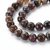 Natural Pietersite Beads Strands G-R446-8mm-13-3