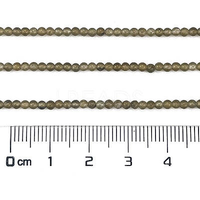 Natural Labradorite Beads Strands G-M438-A01-02-1