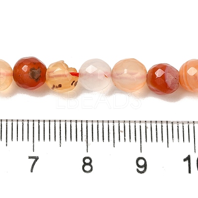 Natural Agate(Dyed & Heated) Beads Strands G-H066-B01-01-1