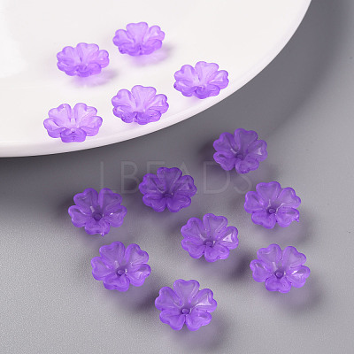Transparent Frosted Acrylic Bead Caps MACR-S371-04A-747-1