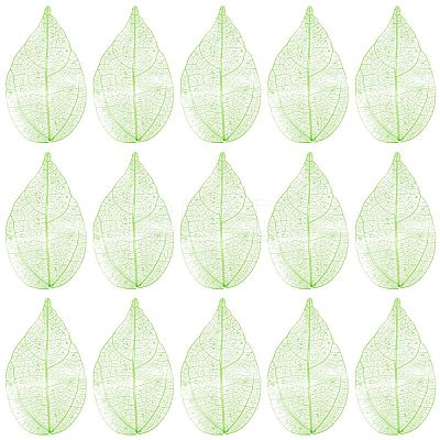 100Pcs Dried Flower Leaf Craft Supplies AJEW-CP0009-41A-1