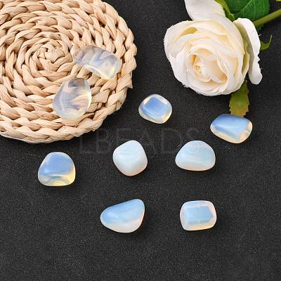 Opalite Beads G-S218-25-1