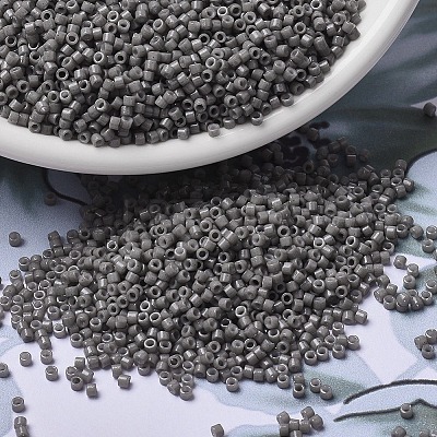 MIYUKI Delica Beads X-SEED-J020-DB2367-1