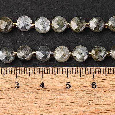 Natural Labradorite Beads Strands G-K389-B66-01-1
