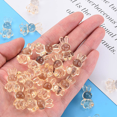 Transparent Acrylic Beads MACR-S373-81-B04-1